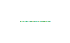 Kebaya Bridesmaid Muslim Model Kebaya Modern